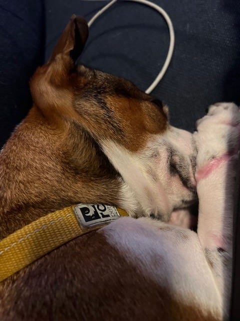 Update and Pupdate